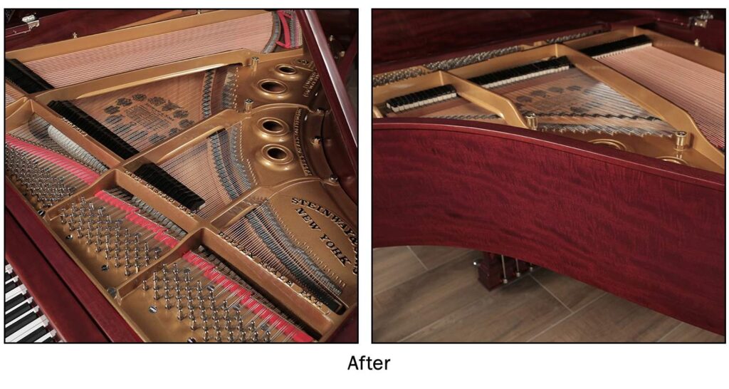 Plate and case restoration